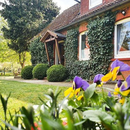 Am Alten Haus Altenmedingen Buitenkant foto