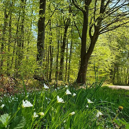 Am Alten Haus Altenmedingen Buitenkant foto
