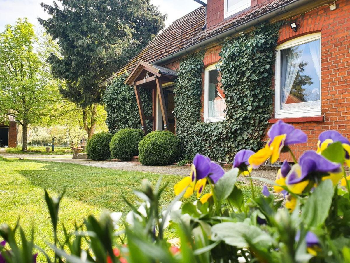 Am Alten Haus Altenmedingen Buitenkant foto