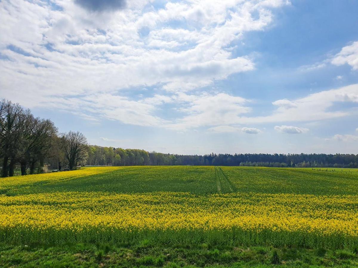 Am Alten Haus Altenmedingen Buitenkant foto